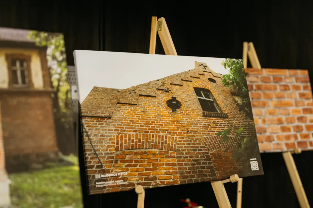 raudona plyta istoriku R Petrausko ir V Rakucio diskusija 010