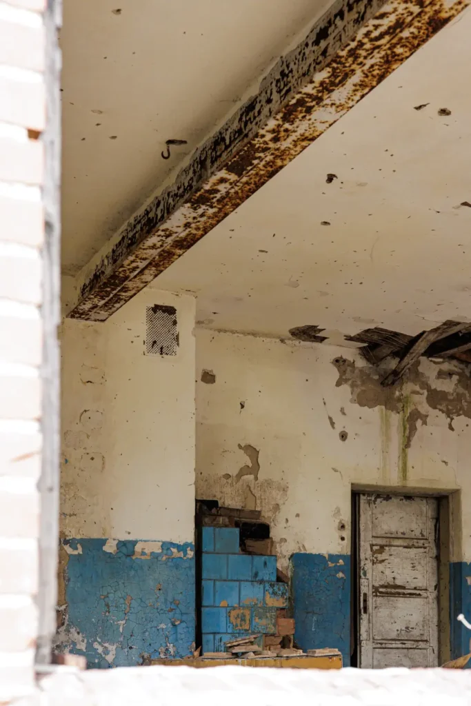 raudona plyta gilandvirsiu pradine mokykla v setkauske 003