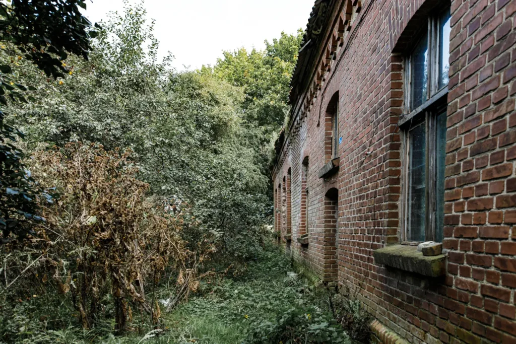 raudona plyta gilandvirsiu pradine mokykla v setkauske 007