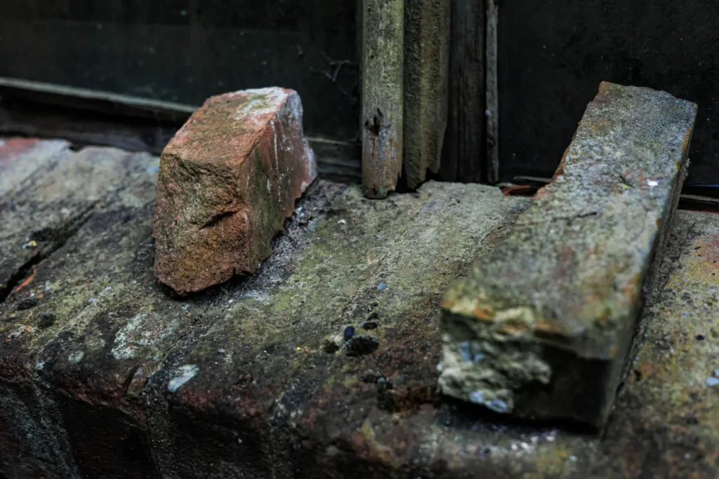 raudona plyta gilandvirsiu pradine mokykla v setkauske 011