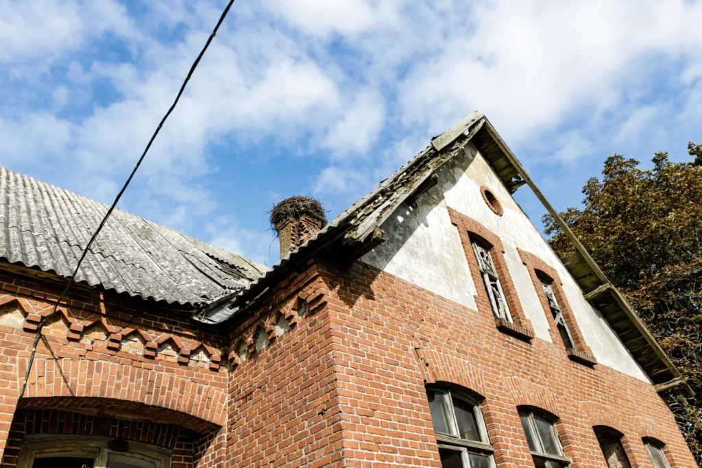 raudona plyta gilandvirsiu pradine mokykla v setkauske 012